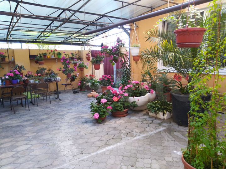 Комната 15 м² в 8-к., 3/3 эт.