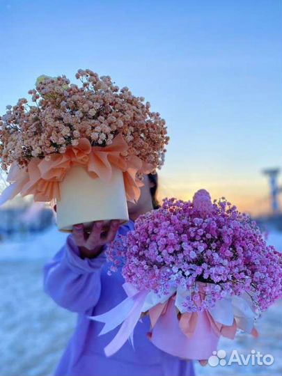 Букет из гипсофилы в коробке