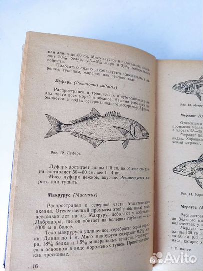 Блюда из рыбы