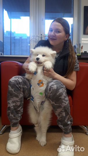 Ветеринарный врач