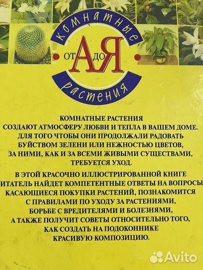 Комнатные растения полезные советы миллион меню