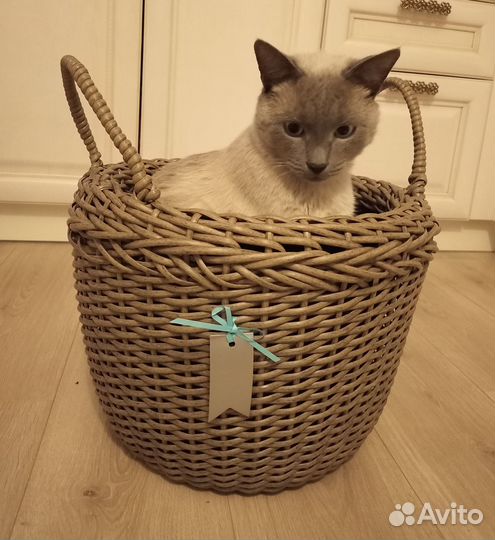 Кашпо с ручками 20 л