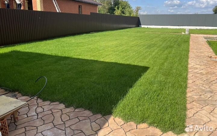 Рулонный газон