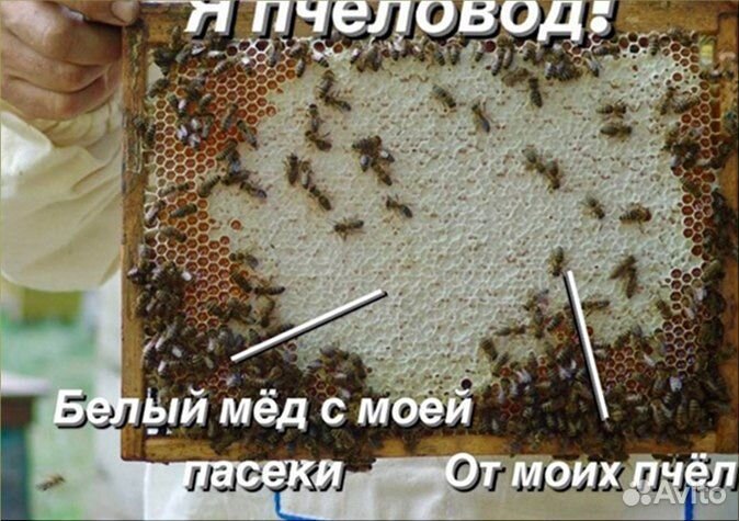 Аккураевый мед