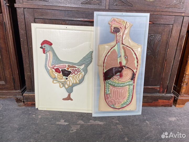 Учебные пособия по биологии СССР