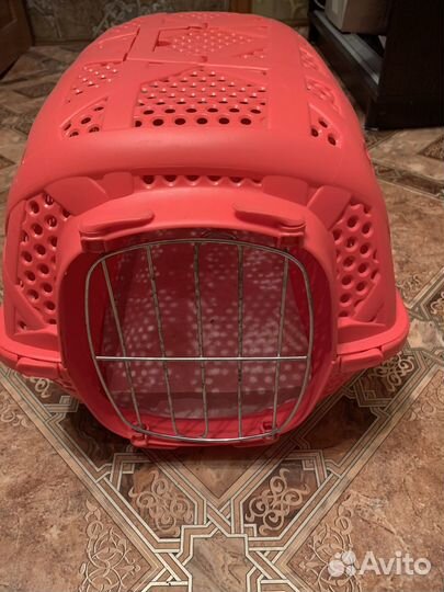 Переноска для собак, поводок и шлейка