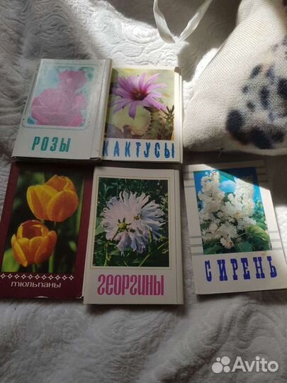 Открытки СССР