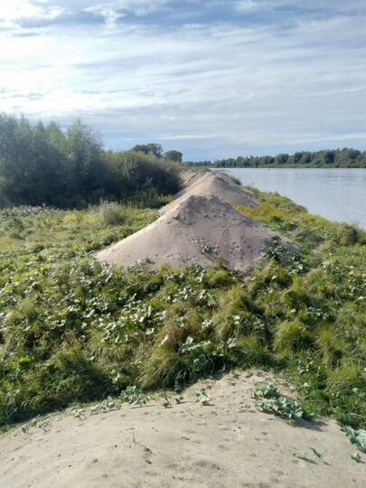 Участок 4,8 сот. (СНТ, ДНП)