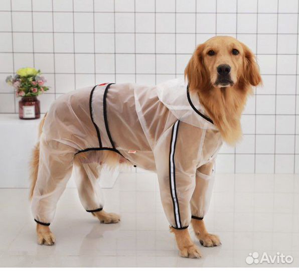 Дождевик для большой собаки