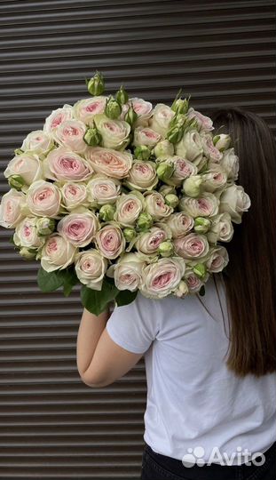 Розы Пионовидные Цветы Букеты с доставкой 24/7