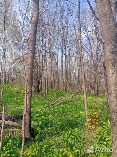 Бригада в лес