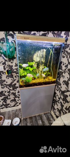 Аквариум с тумбой 90 л