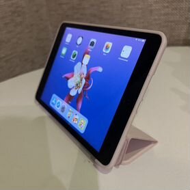 iPad mini 2