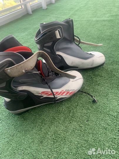 Лыжные ботинки spine