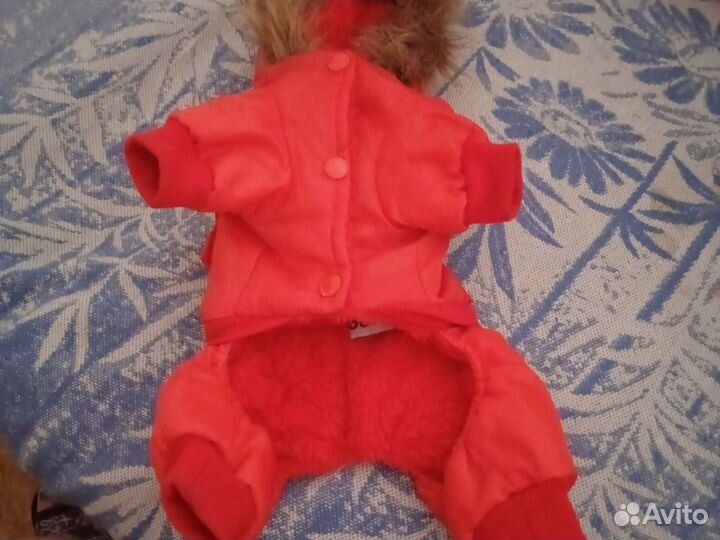 Одежда для маленьких собак