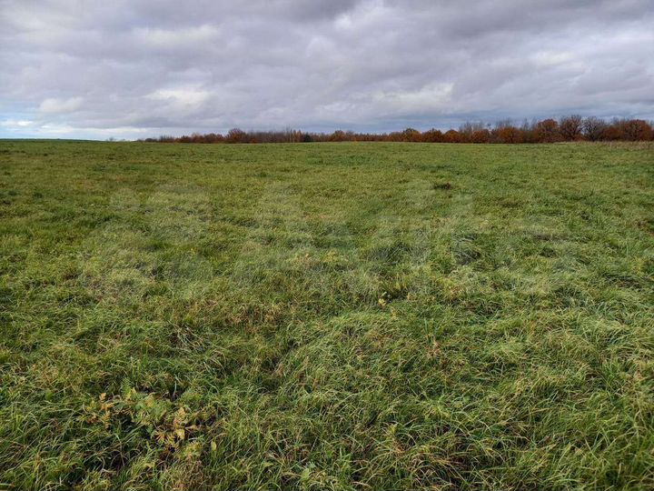 Участок 20 га (СНТ, ДНП)