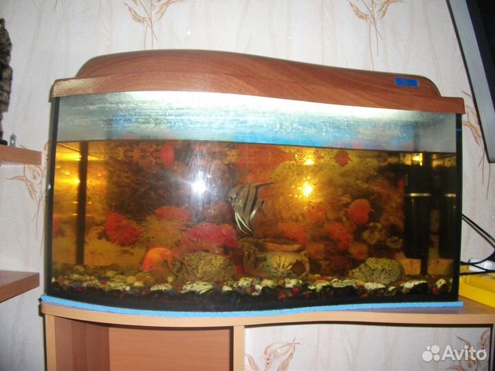 Аквариум