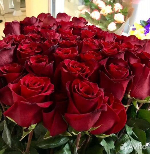 Цветы розы букет