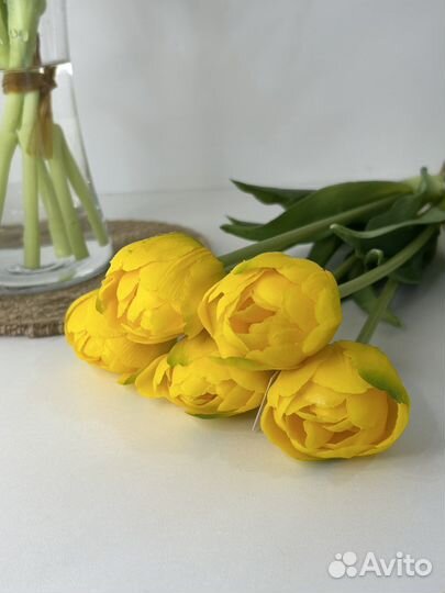 Пионовидные тюльпаны