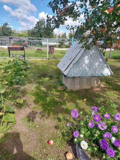 Дом 37,5 м² на участке 5 сот.