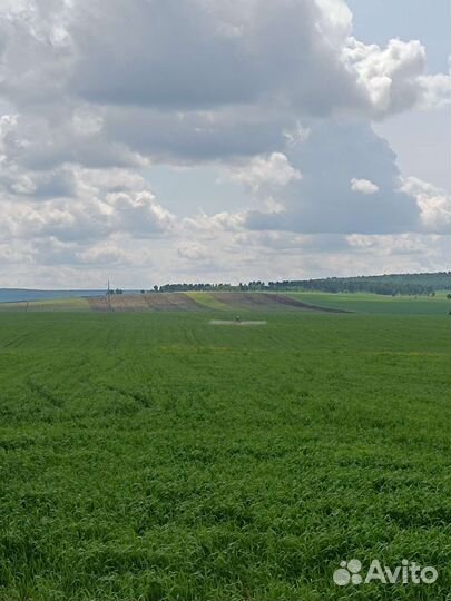 Продам Крестьянско-фермерское хозяйство