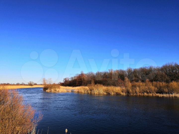 Участок 50 сот. (ИЖС)