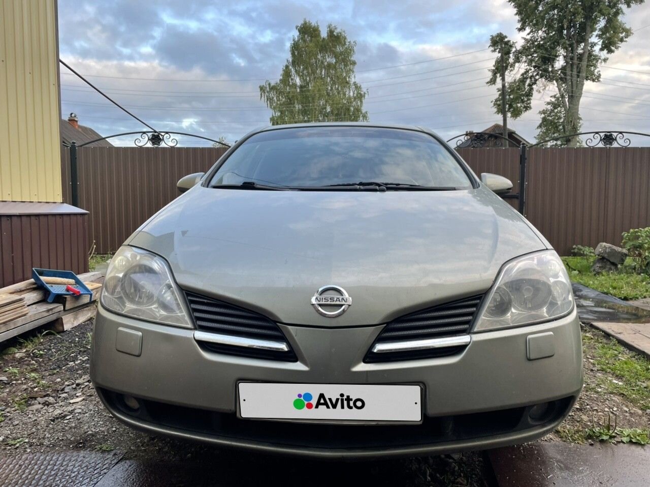 Nissan Primera: фото владельца