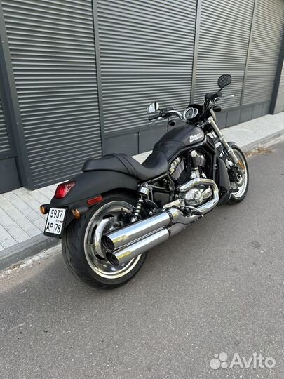 Harley Davidson v-rod night rod vrscd