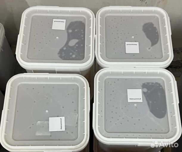 Донниковый свежий натуральный мёд Качка 2023г Опто