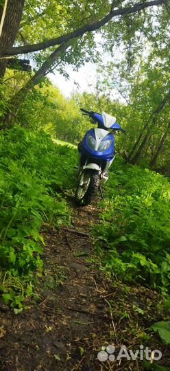 Скутер Irbis Fr 80