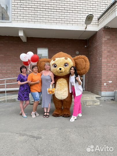 Поздравление от Плюшевого ушастика Чебурашки