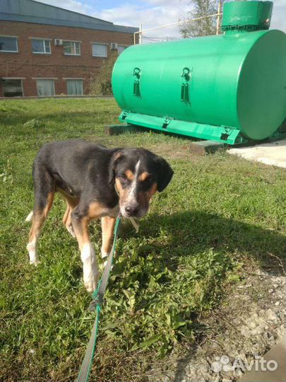 Спасен из черного поиюта