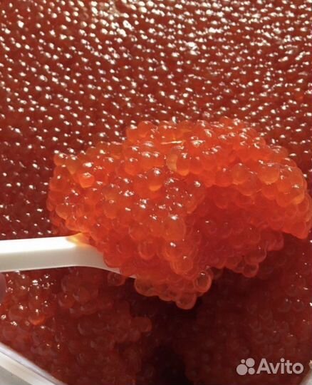 Икра красная горбуши