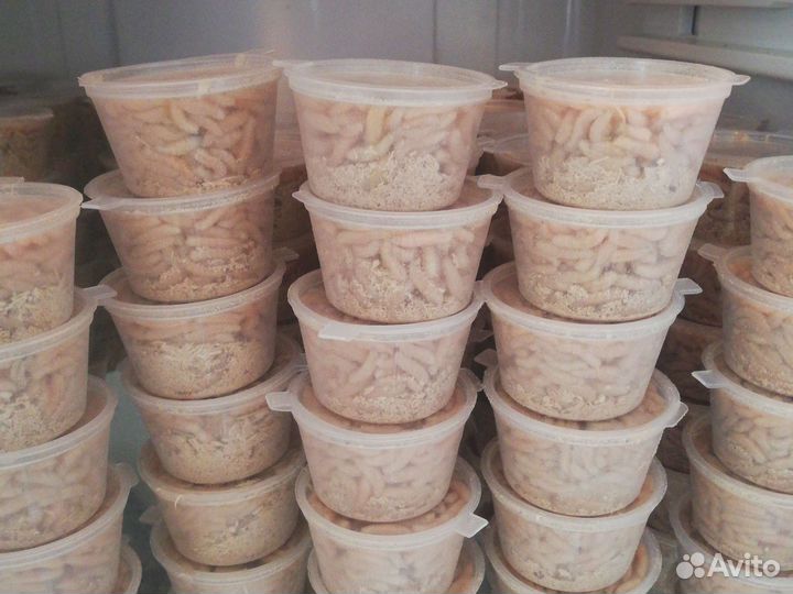 Опарыш от производителя