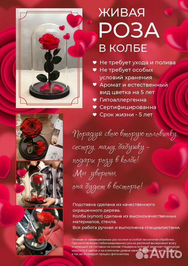 Живая роза в колбе