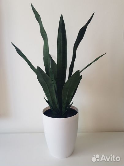 Искусственные цветы в горшке.Орхидея Замиокулькас