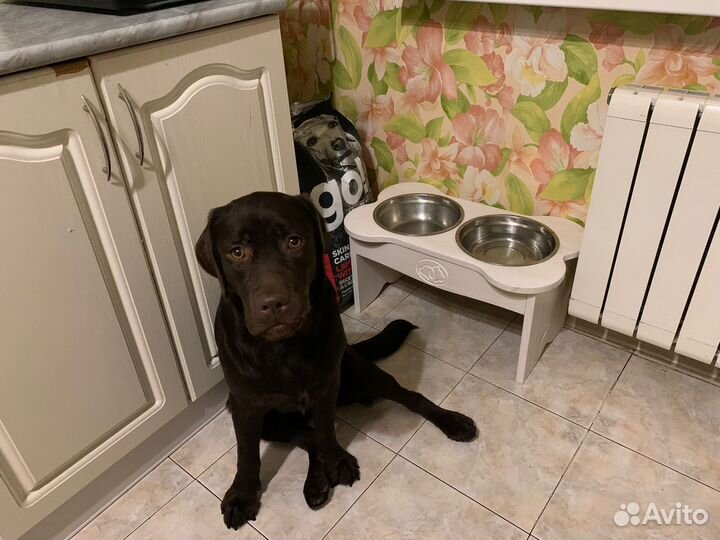 Подставка под миски для собак и кошек