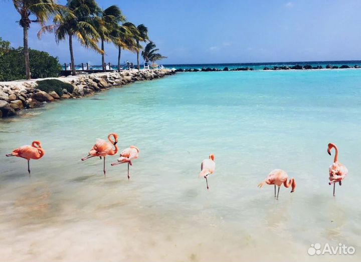 Поездка на Cuby 12 ночей