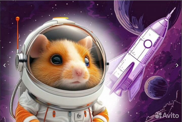 Реф Хамстер Ко мбат