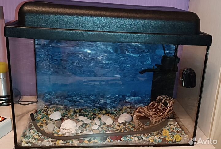 Аквариум с аксессуарами