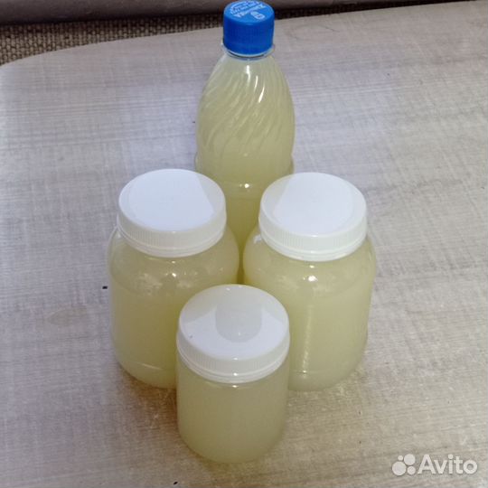 Барсучий жир от охотника