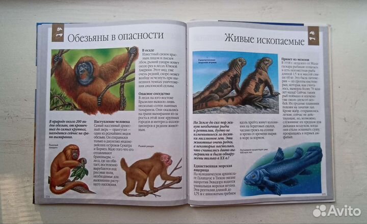 Энциклопедия