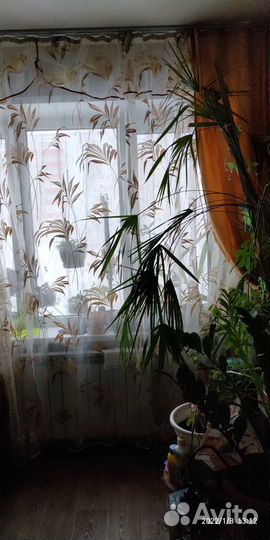 Тюль органза