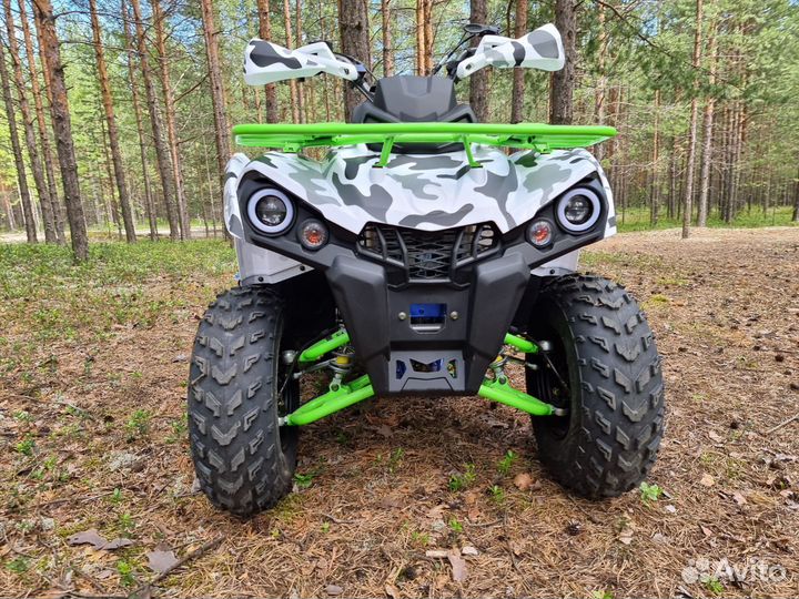 Квадроцикл promax (Промакс) forest hunter 300