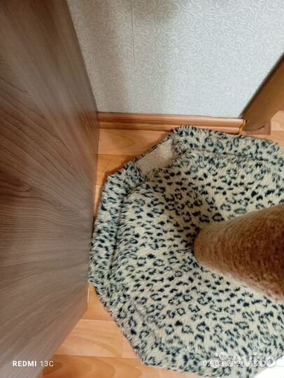 Когтеточка