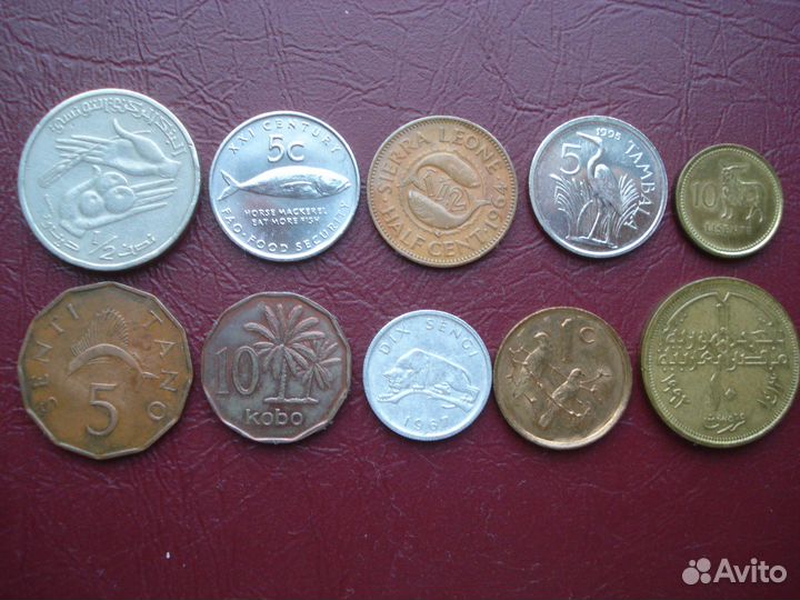 Набор 10 монет разных стран Африки