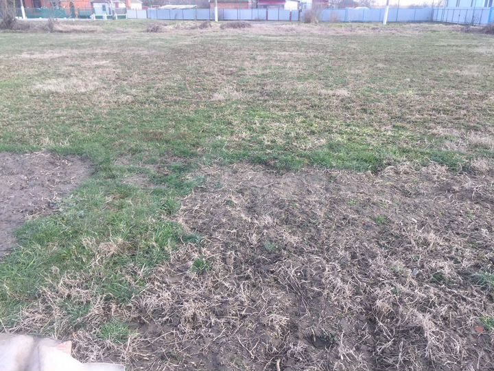 Участок 11 сот. (ИЖС)