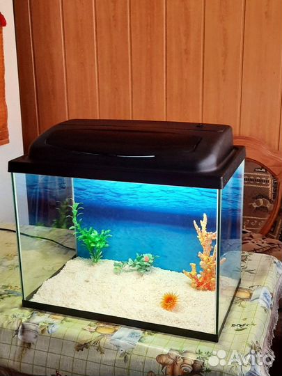 Аквариум aquaei 60л с крышкой и освещением