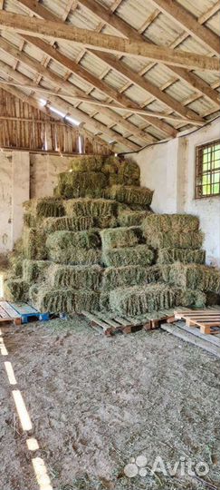 Сено люцерны в тюках