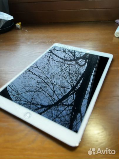 iPad pro 10.5 2017